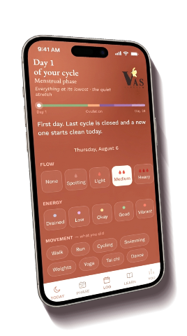 The Vas Sanctum app